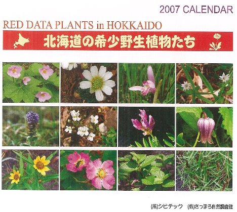 2007年カレンダー