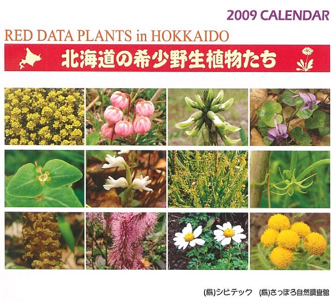 2009年カレンダー
