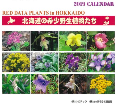 北海道の希少野生植物を紹介した19年版カレンダーを発行 Civitec Co Ltd