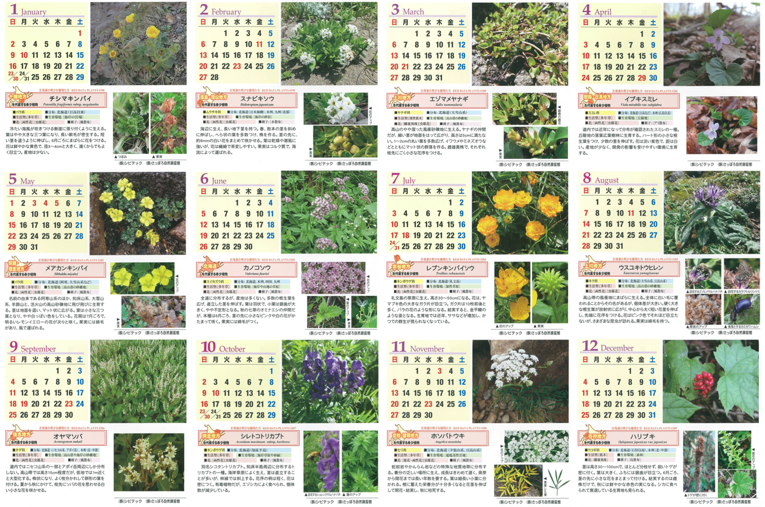 北海道の希少野生植物たち」をとりあげた2022年版カレンダーを発行